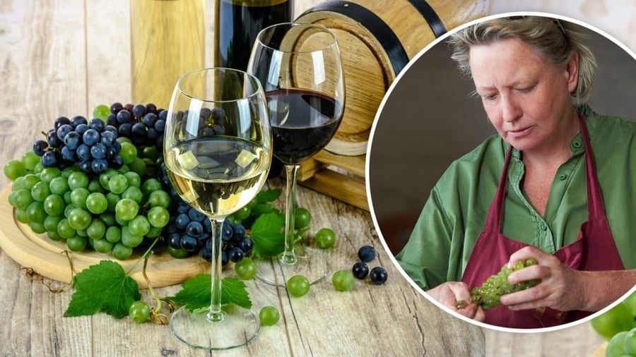 Margaret River Wines at risk due to low rainfalls Margaret River Wines at risk due to low rainfalls