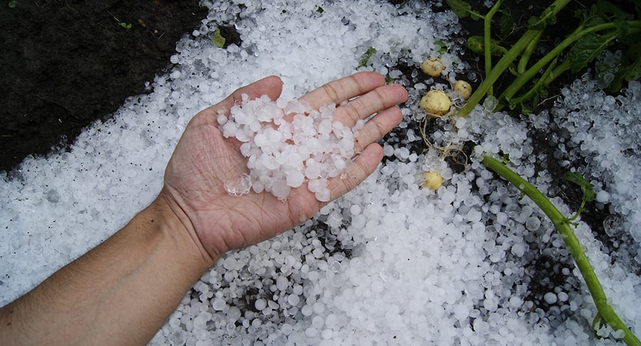 small-hail small-hail
